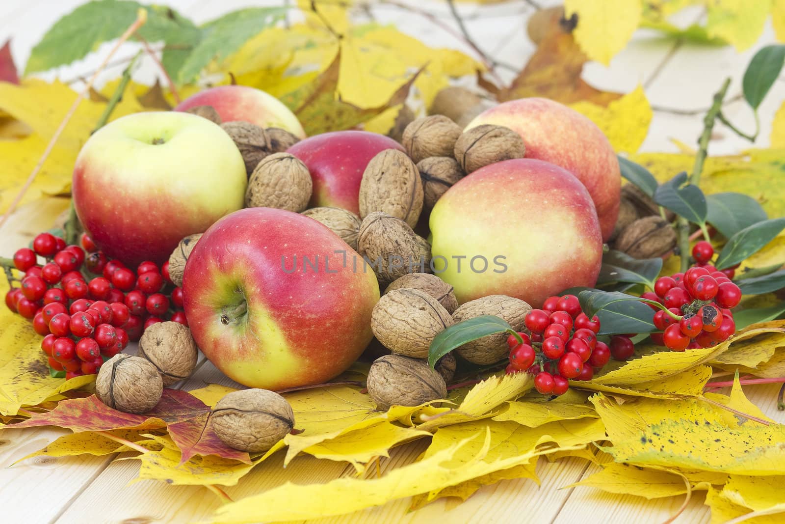 beautiful arrangement of autumn leaves and red apples and walnuts