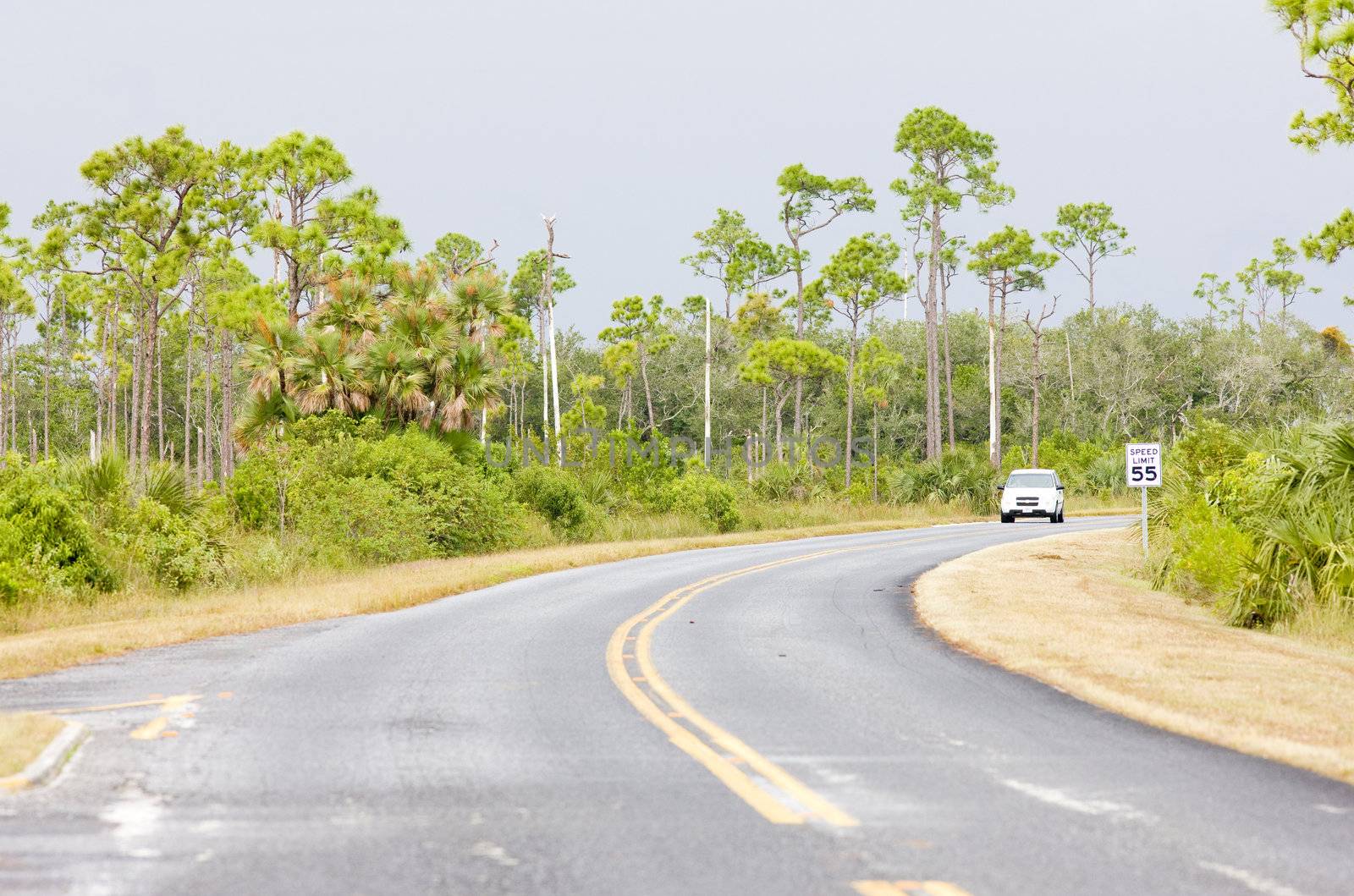 road in Everglades National Park, Florida, USA by phbcz