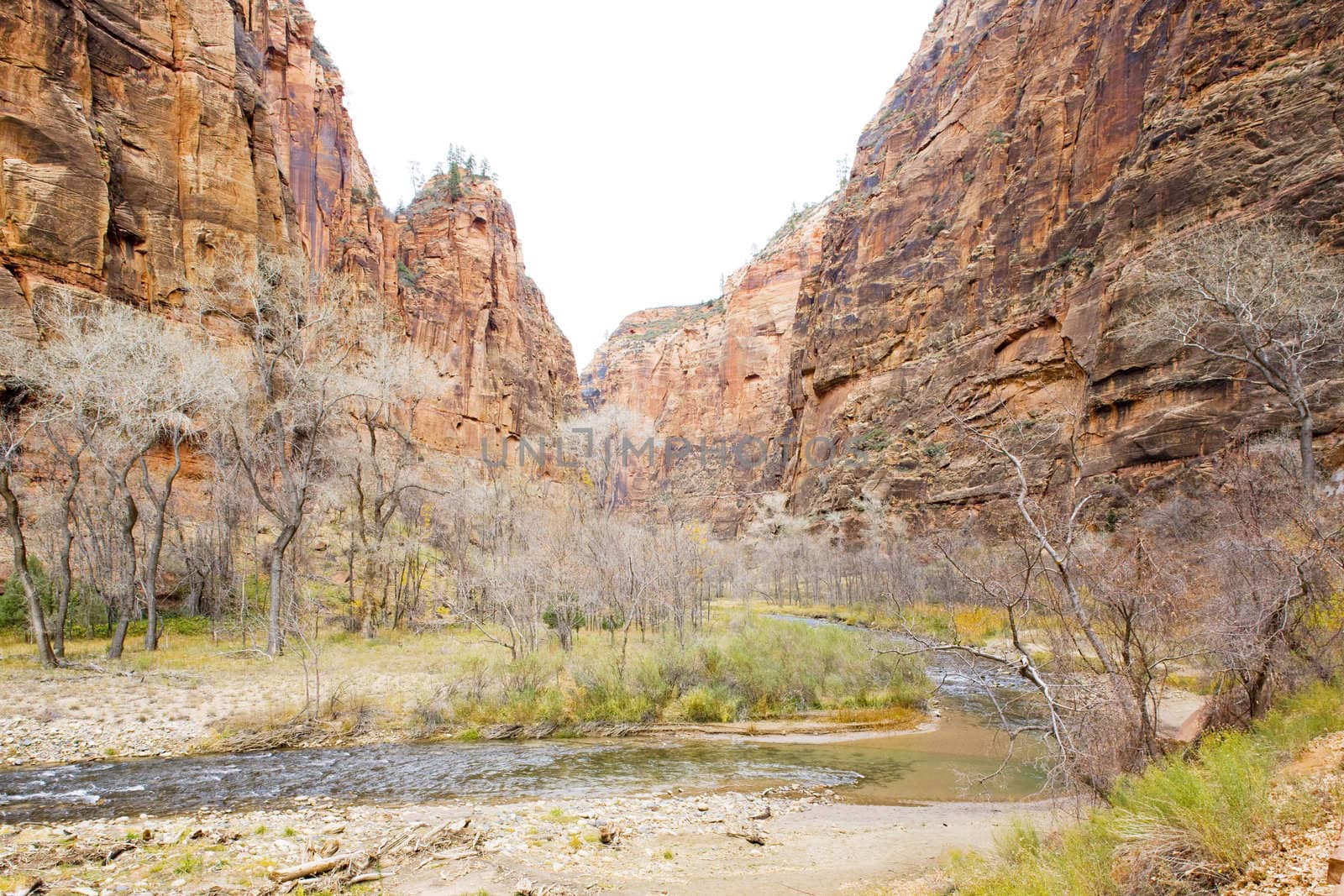 Zion National Park, Utah, USA by phbcz