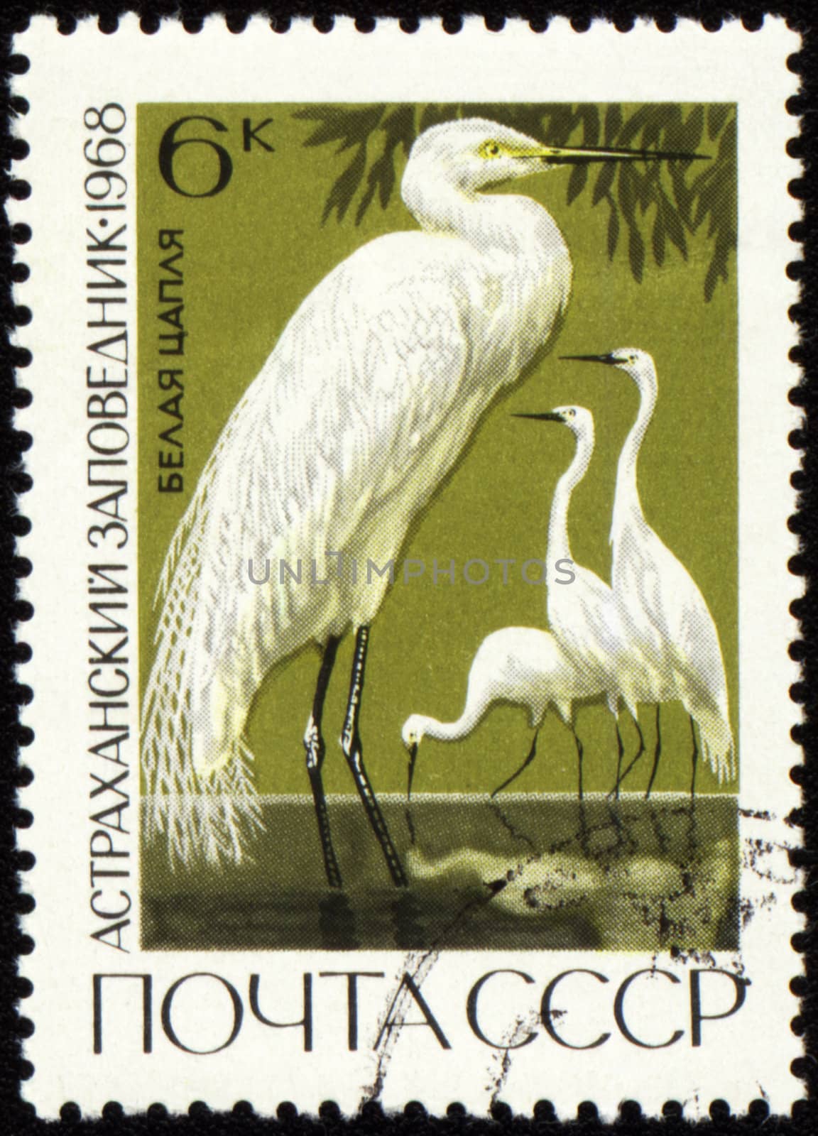 USSR - CIRCA 1968: stamp printed in the USSR shows egret, series "Astrakhan Reserve", circa 1968