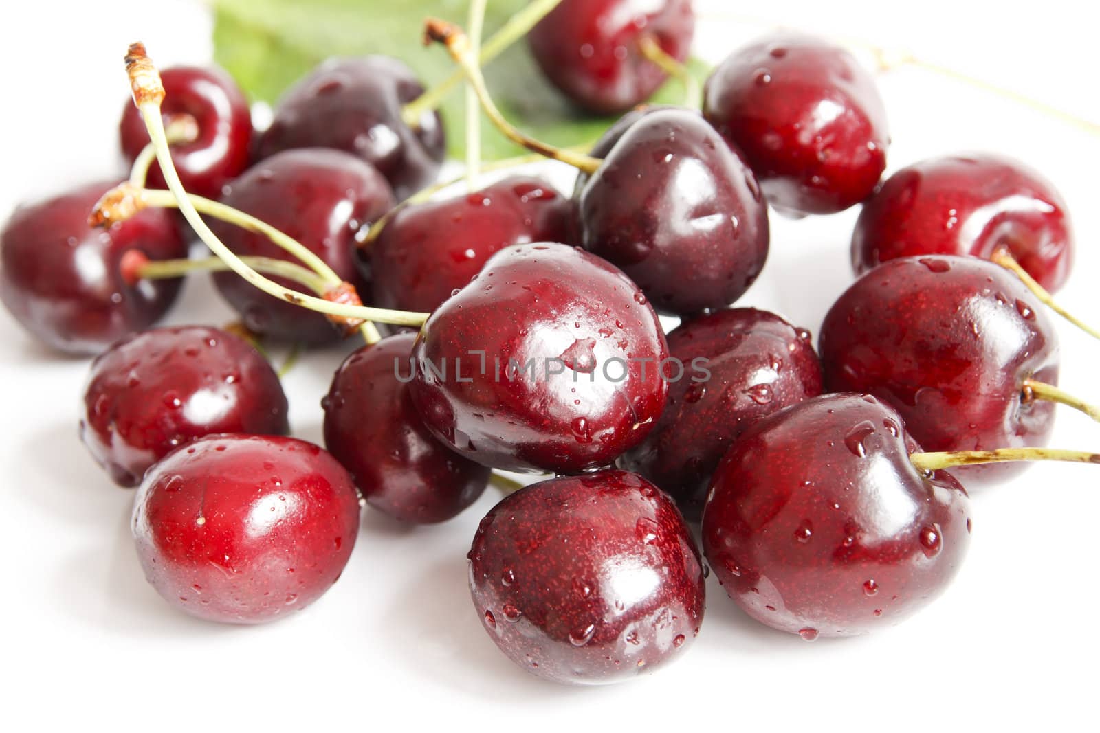 Wet cherries on white background