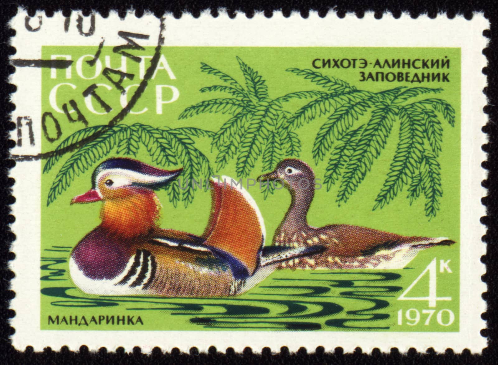 USSR - CIRCA 1970: post stamp printed in USSR shows Mandarin ducks, series Animals from Sikhote-Alin Reserve, circa 1970