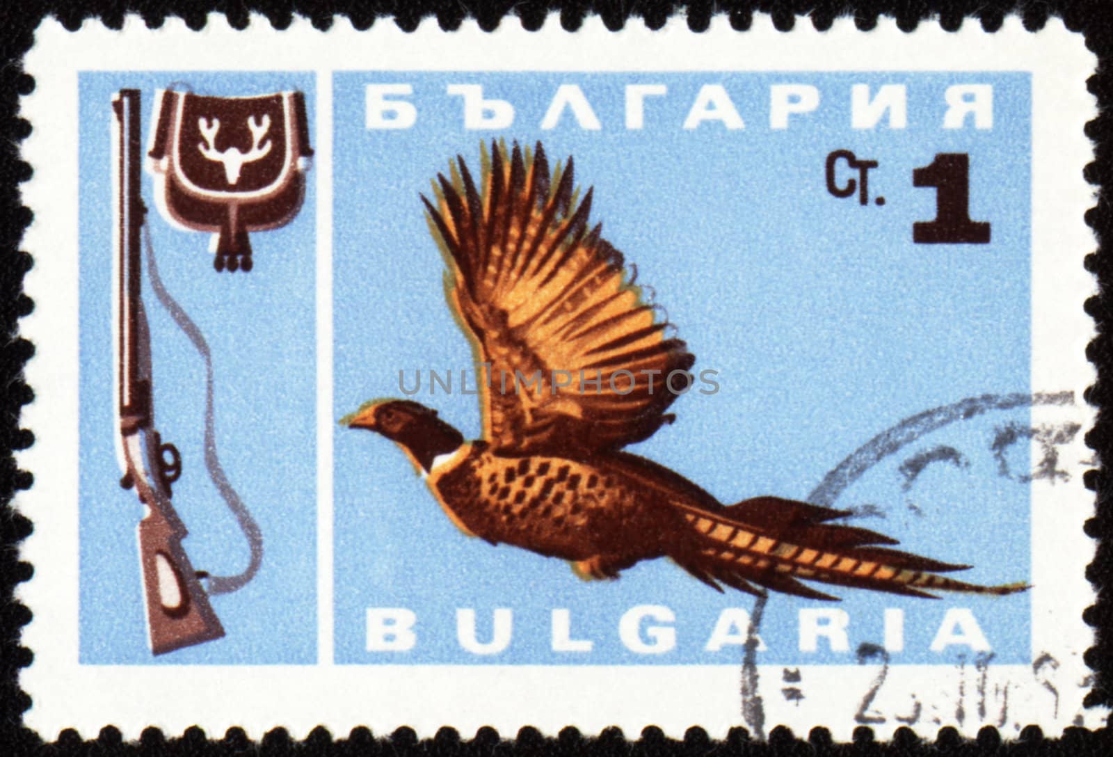 BULGARIA - CIRCA 1967: stamp printed in Bulgaria shows fowl bird, series, circa 1967