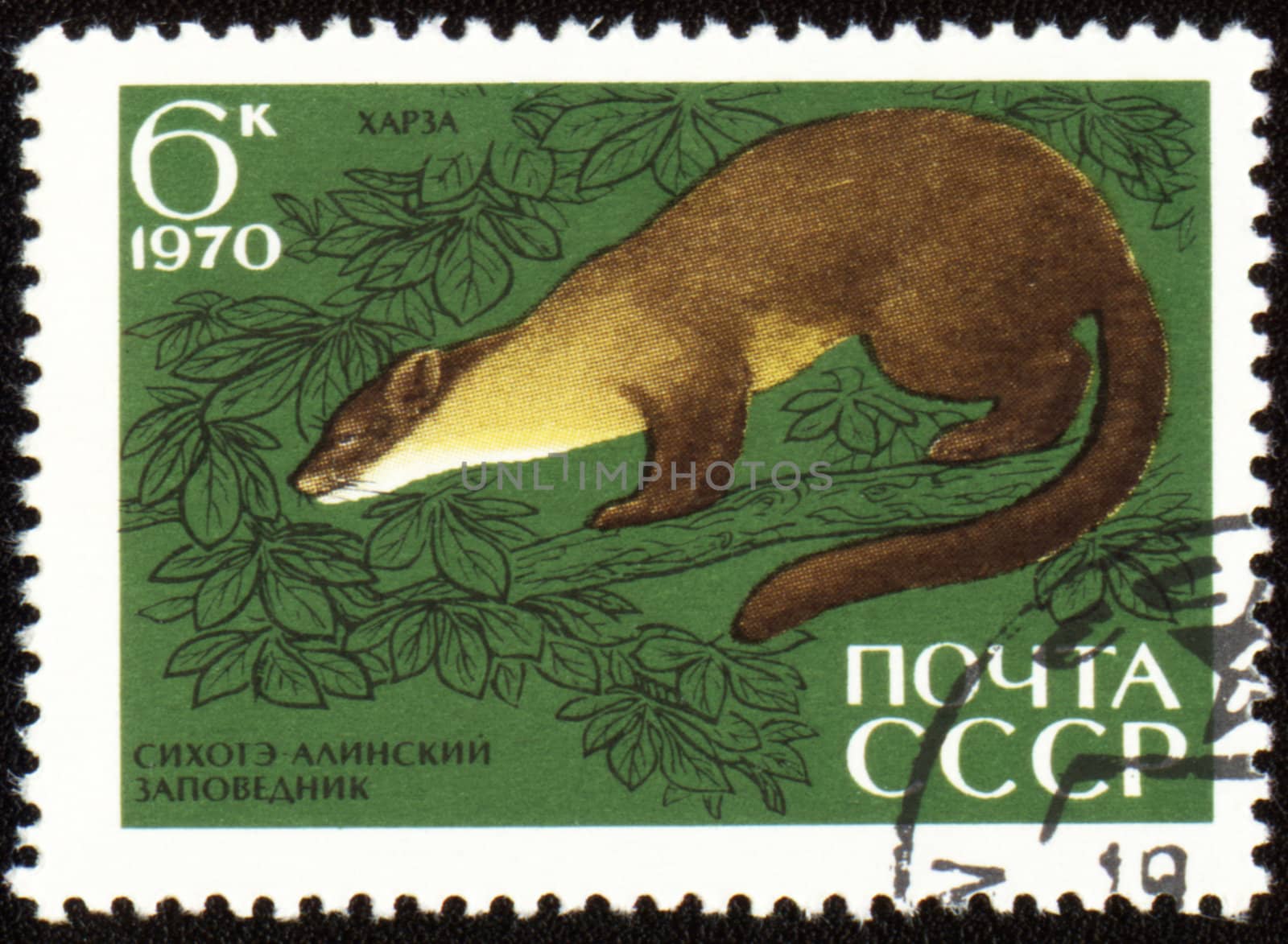 USSR - CIRCA 1970: post stamp printed in USSR shows Pine marten, series Animals from Sikhote-Alin Reserve, circa 1970