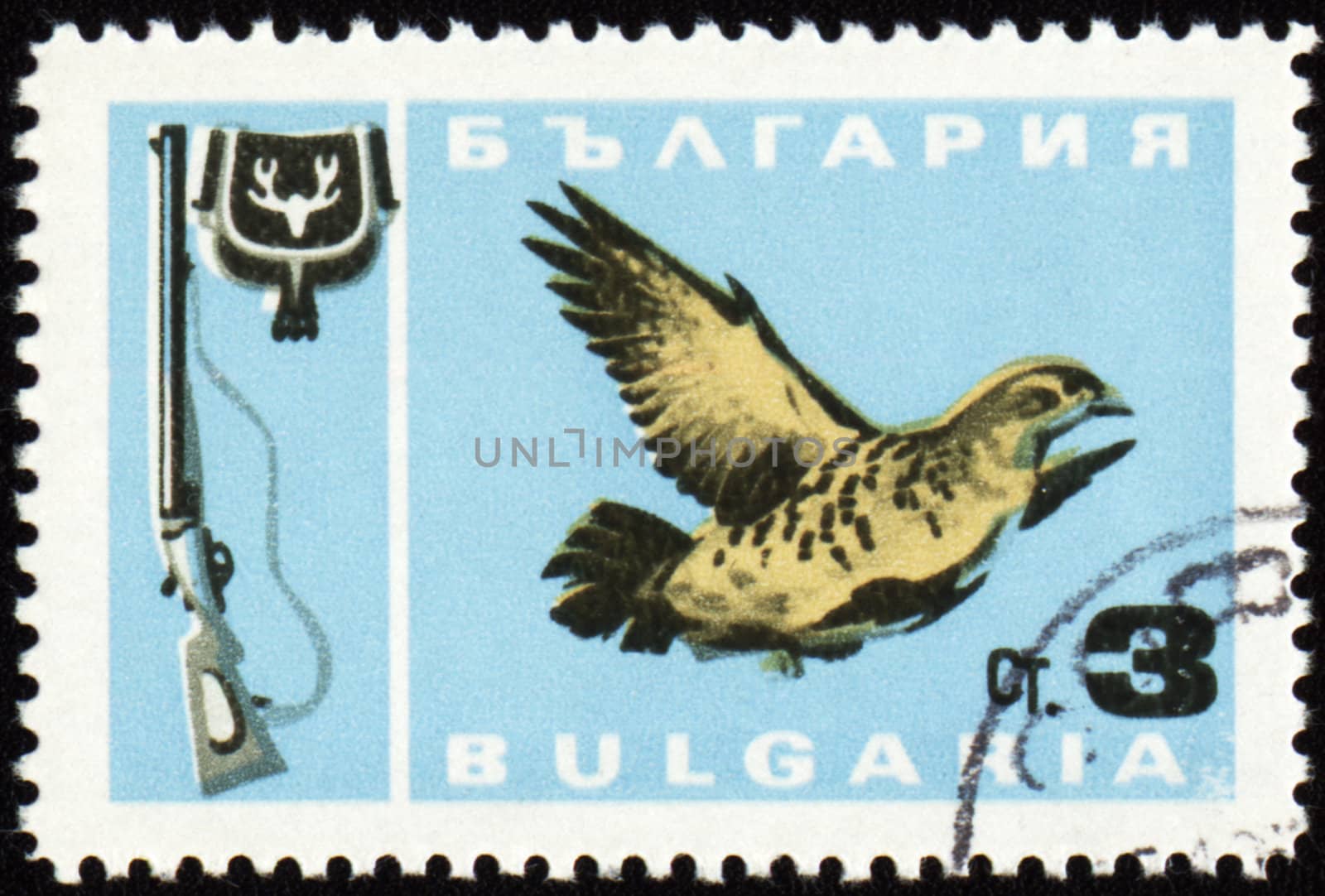 BULGARIA - CIRCA 1967: stamp printed in Bulgaria shows fowl bird, series, circa 1967