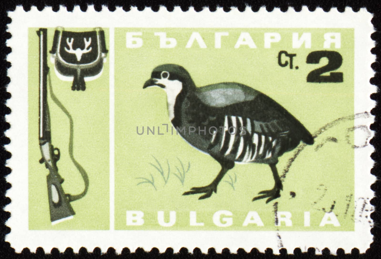 BULGARIA - CIRCA 1967: stamp printed in Bulgaria shows fowl bird, series, circa 1967