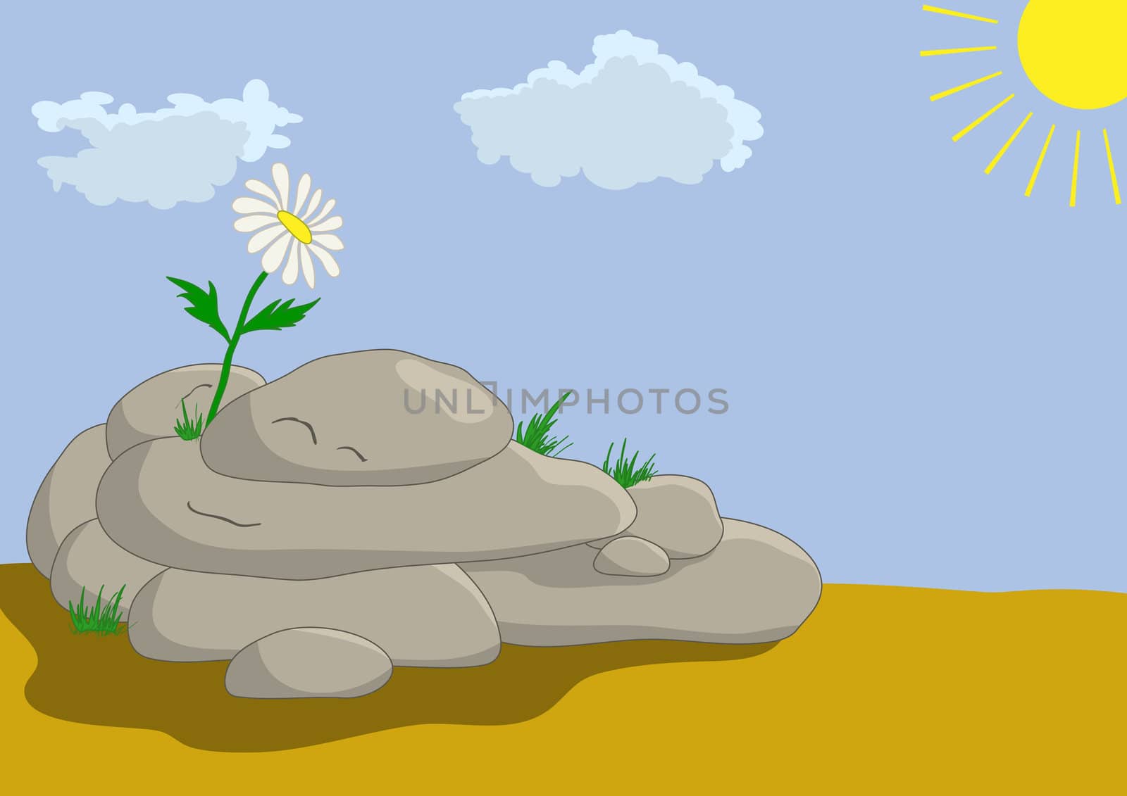 Lonely flower on a rock in desert look at the sun