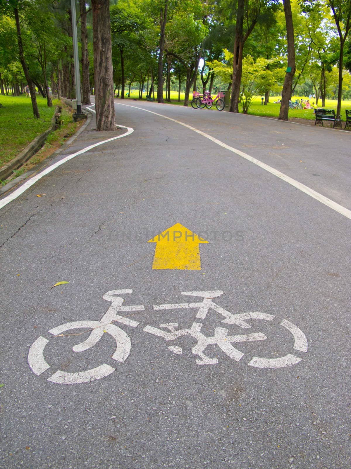 The direction for bicycle in the park.