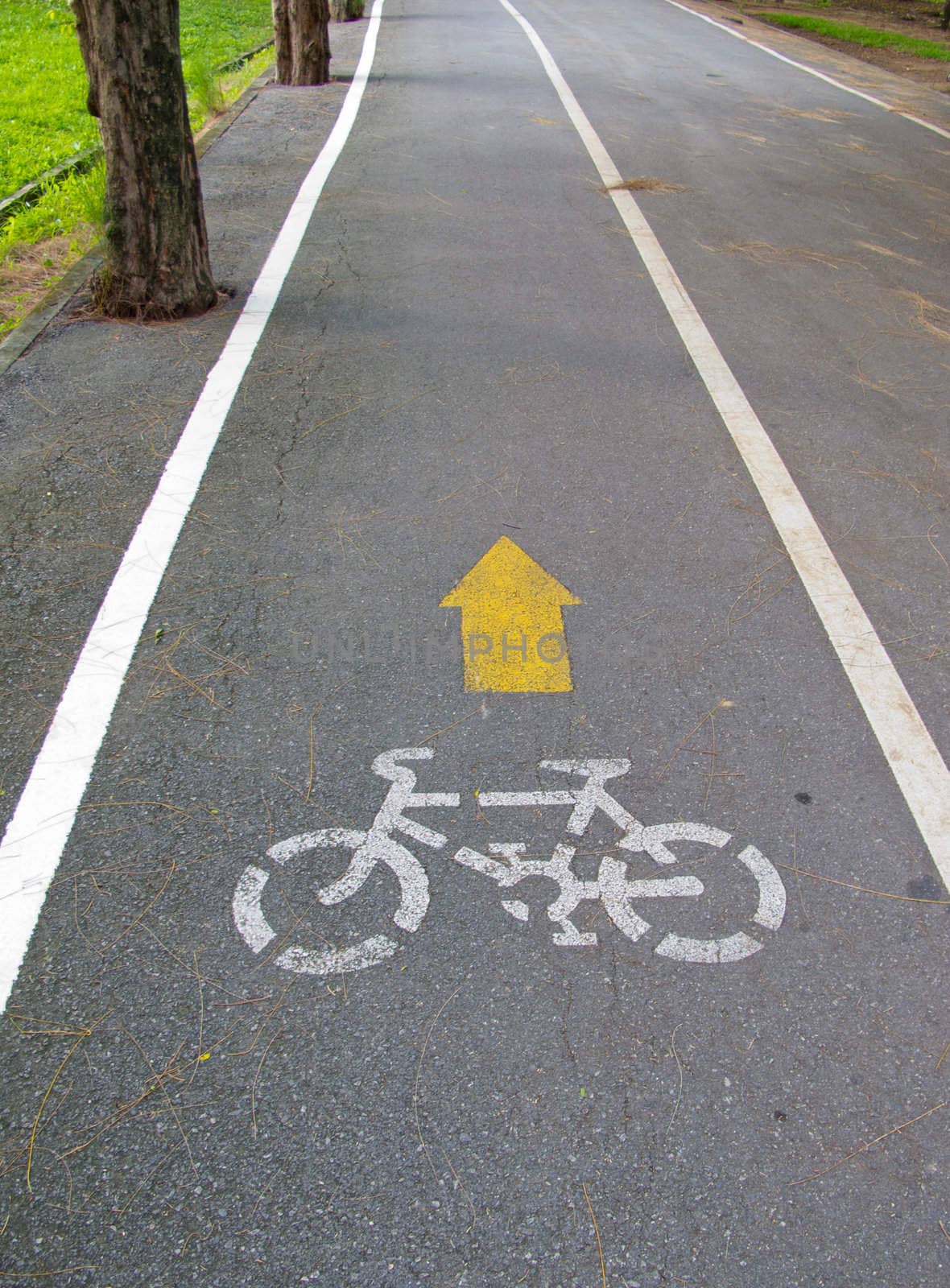 The direction for bicycle in the park.