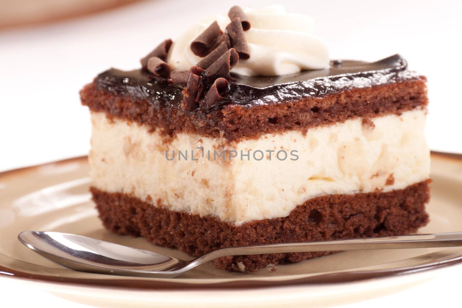 Piece of chocolate cream cake, on a plate