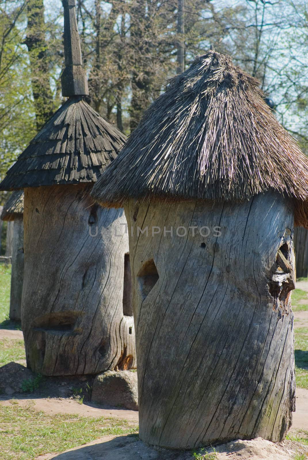 Ancient Ukrainian beehive hollowed from a tree trunk