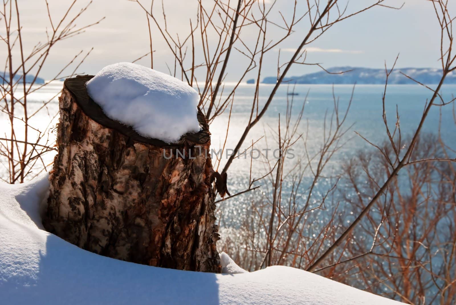 Snow covered stub against a beautiful bay