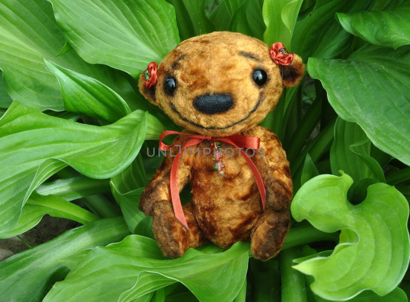 Handmade, the sewed plush toy: Teddy bear Niusia weirdo in green leaves of a flower Hosta