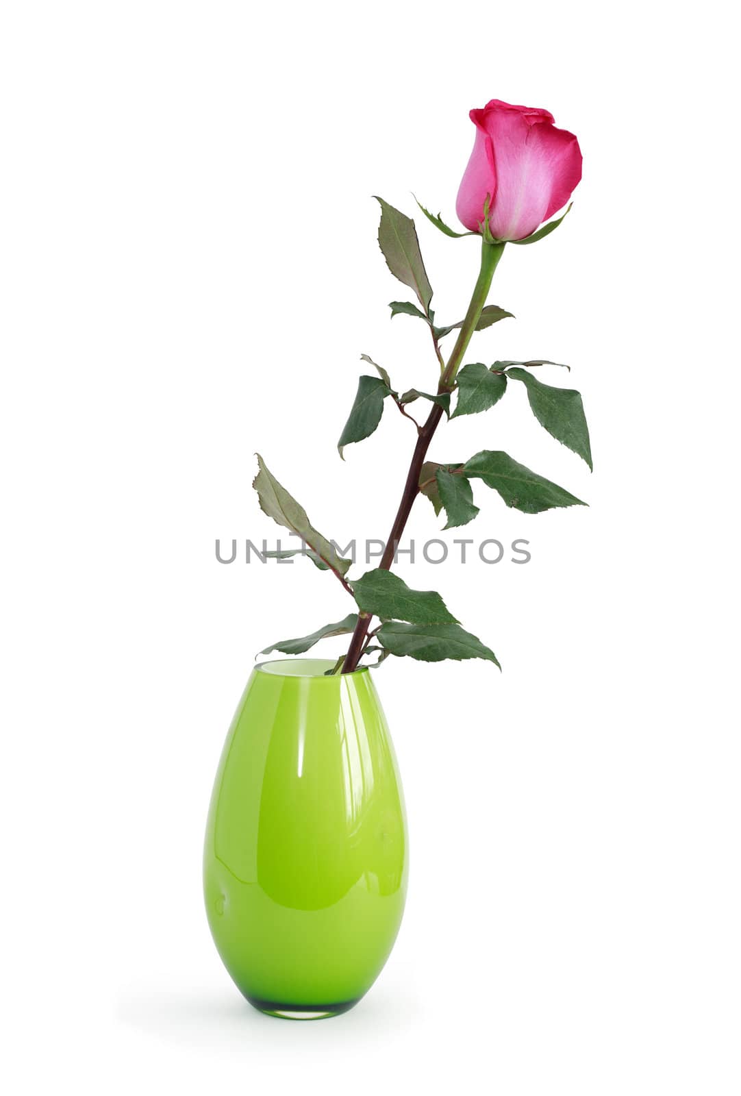 Red rose with leaves in nice green glass vase. Isolated on white with clipping path