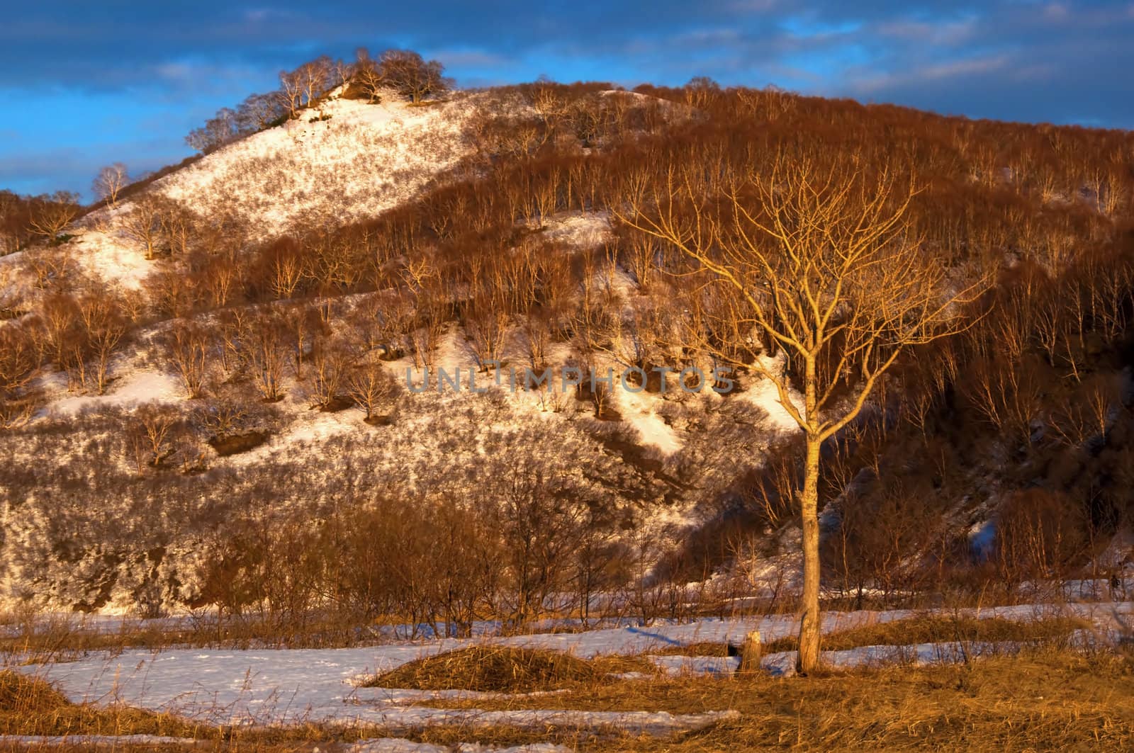 Winter landscape by alena0509
