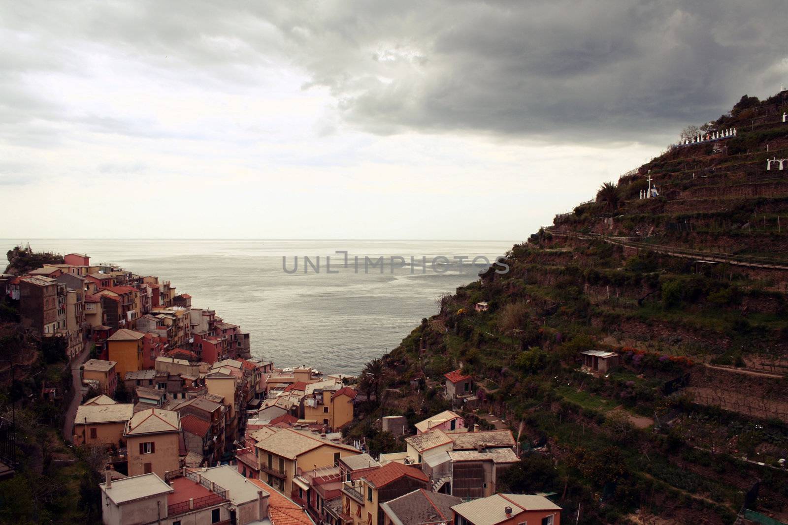 Cinqueterre, sea landscape panromaic view over the vineyard.