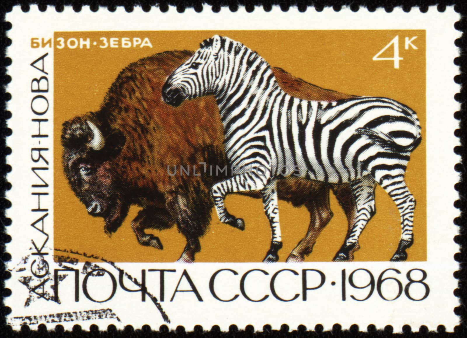 USSR - CIRCA 1968: stamp printed in the USSR, shows zebra and bison, series "Askania Nova Reserve", circa 1968