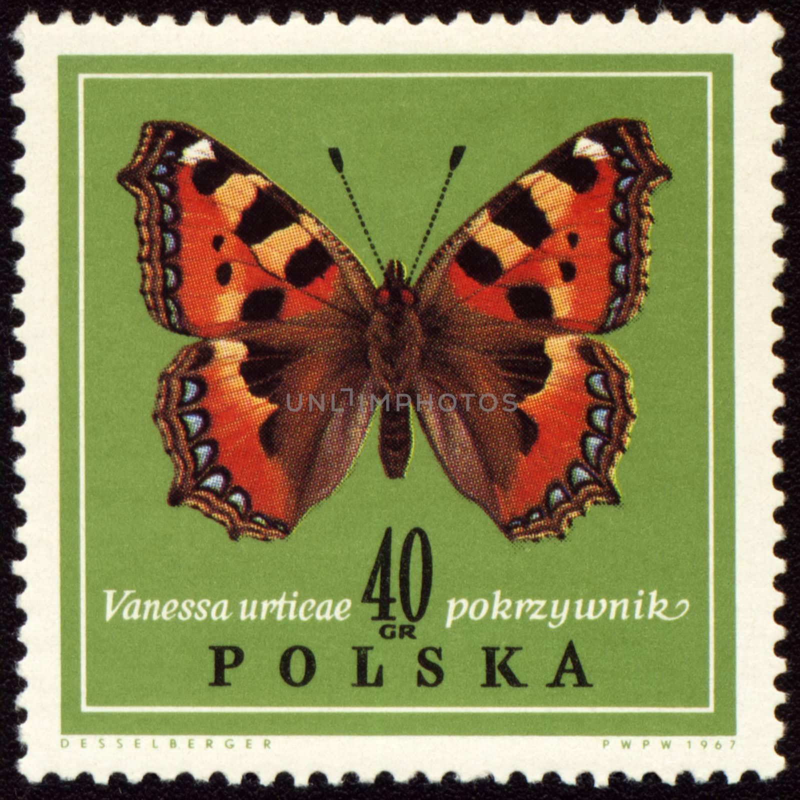 POLAND - CIRCA 1967: stamp printed in Poland shows butterfly Vanessa urtieae, circa 1967