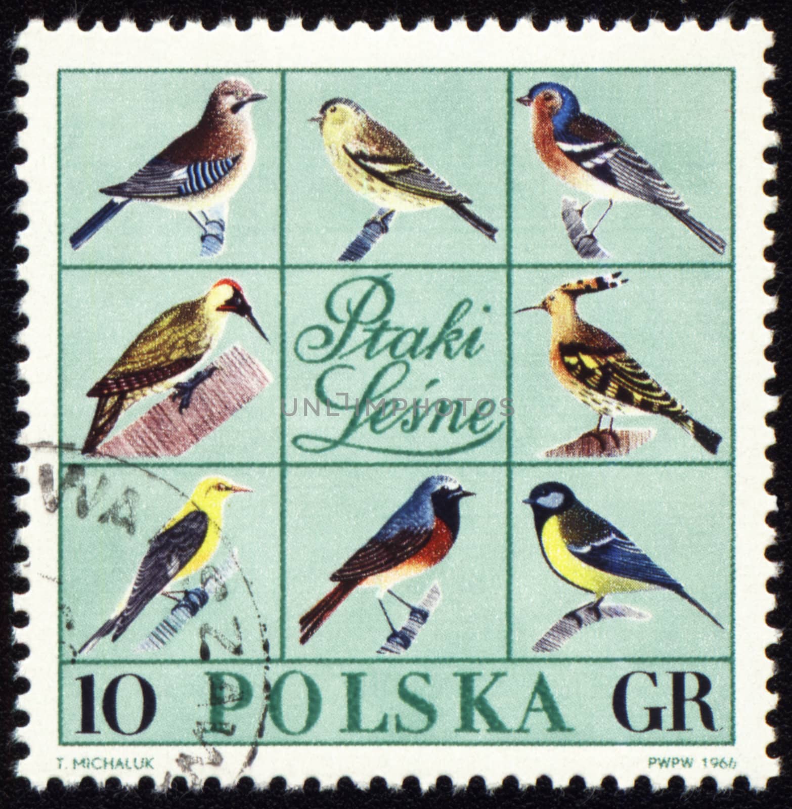 POLAND - CIRCA 1966: stamp printed in Poland, shows Forest birds, series, circa 1966