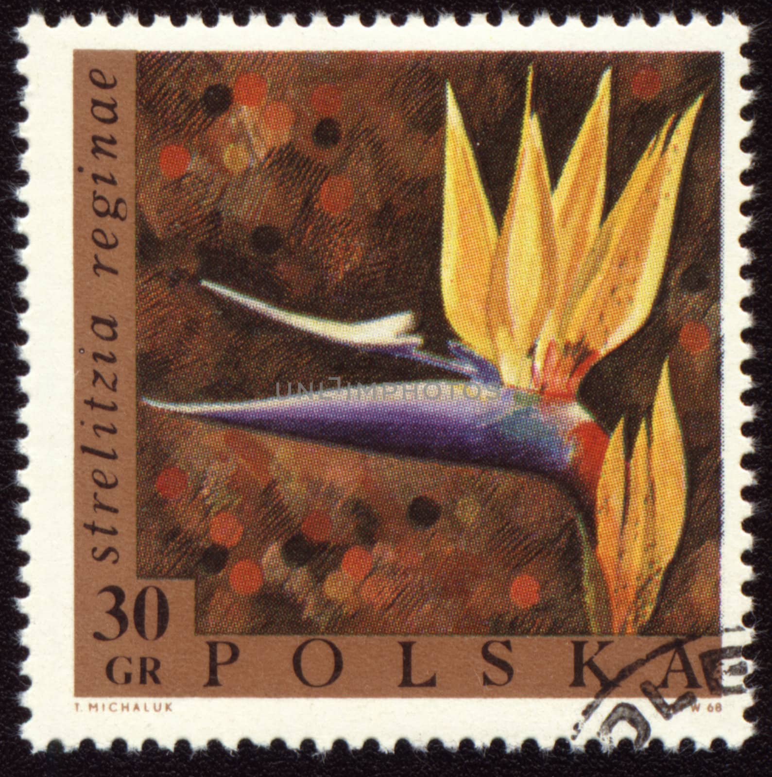 POLAND - CIRCA 1968: a stamp printed in Poland shows a flower Strelitzia reginae, circa 1968