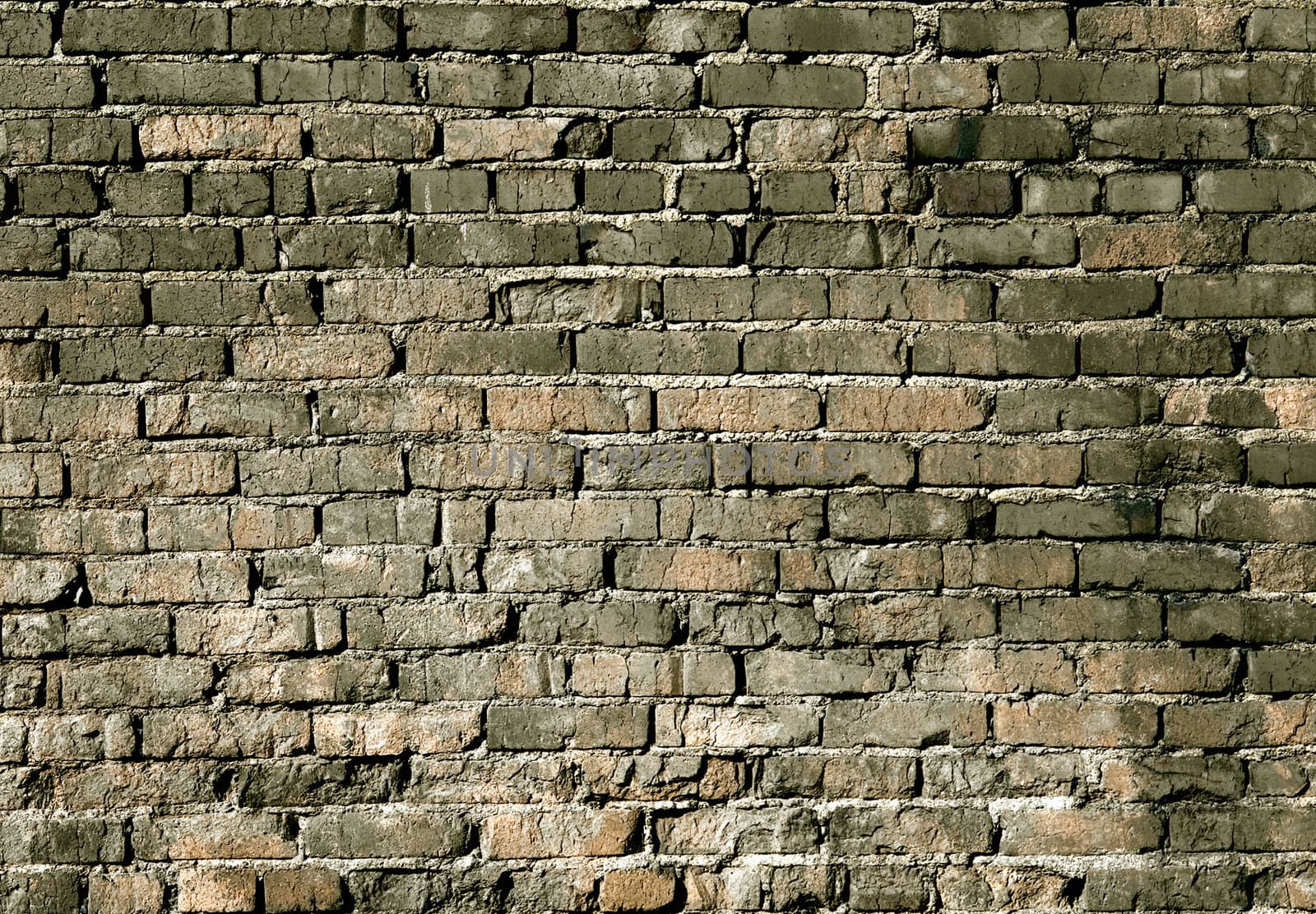 Brick wall  by zeffss