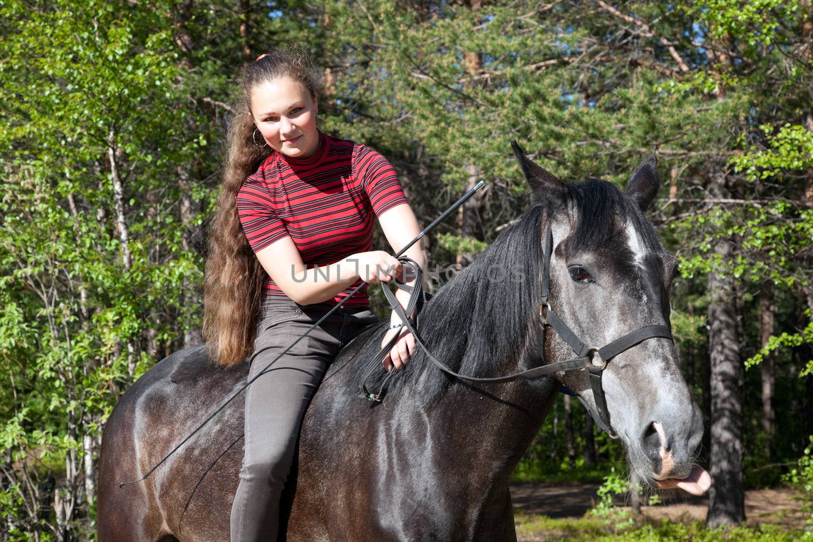 Beautiful girl on a black horse in a forest
