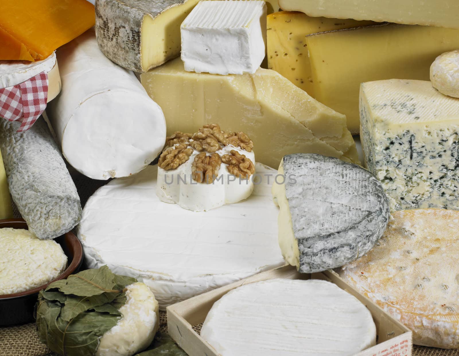 cheese still life