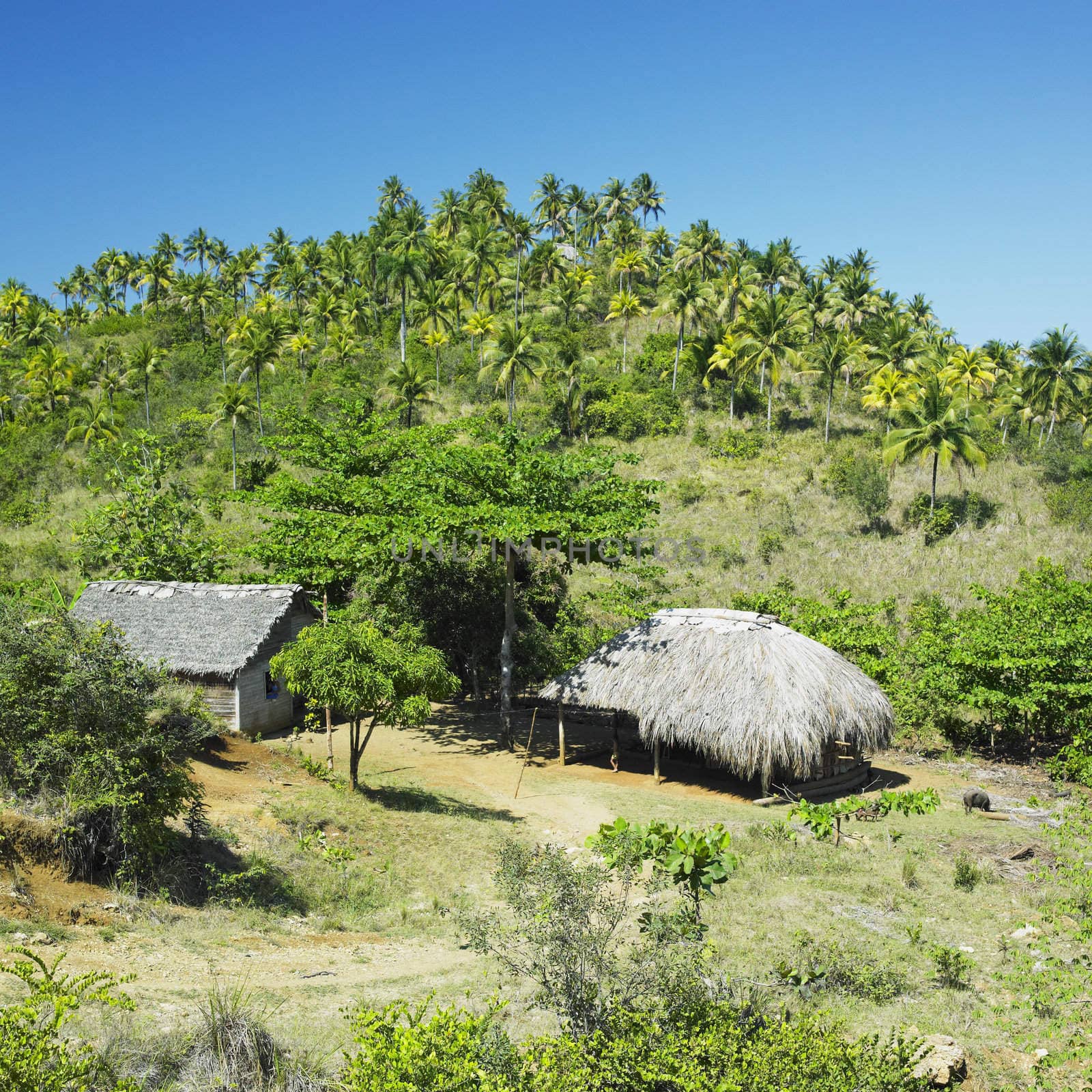 Parque Nacional Alejadro de Humboldt, Guant�namo Province, Cuba