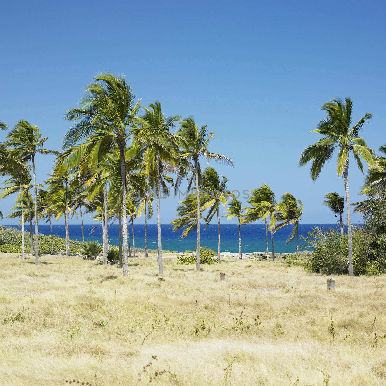 Bahia de Bariay, Holguin Province, Cuba