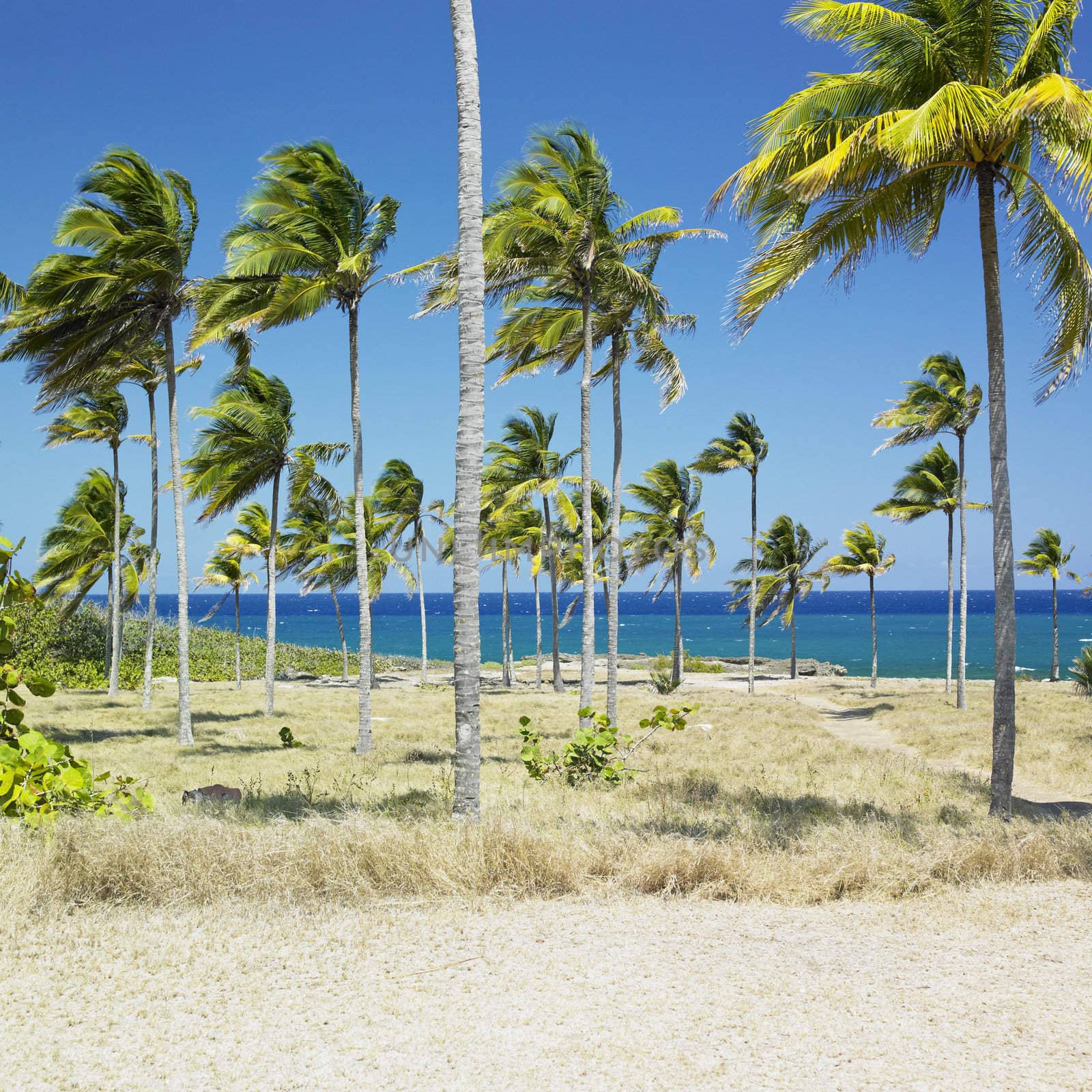 Bahia de Bariay, Holguin Province, Cuba