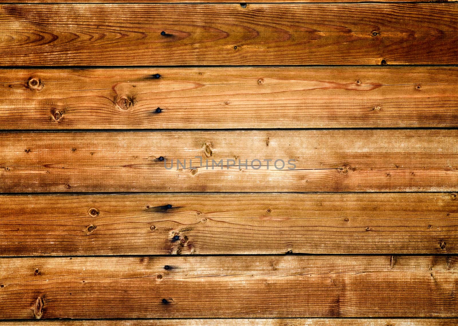 Wood texture. ( old boards )