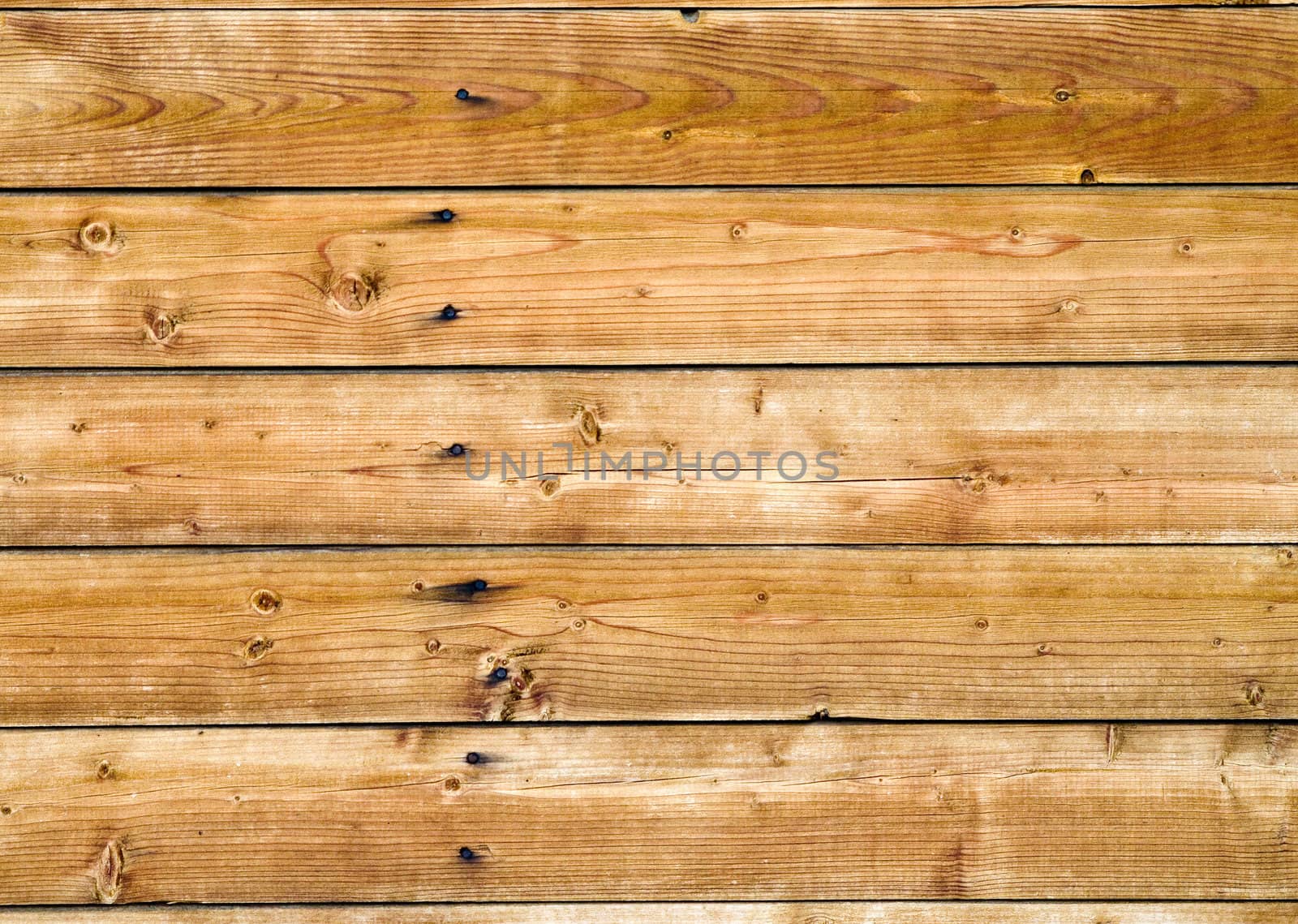 Wood texture. ( old boards )