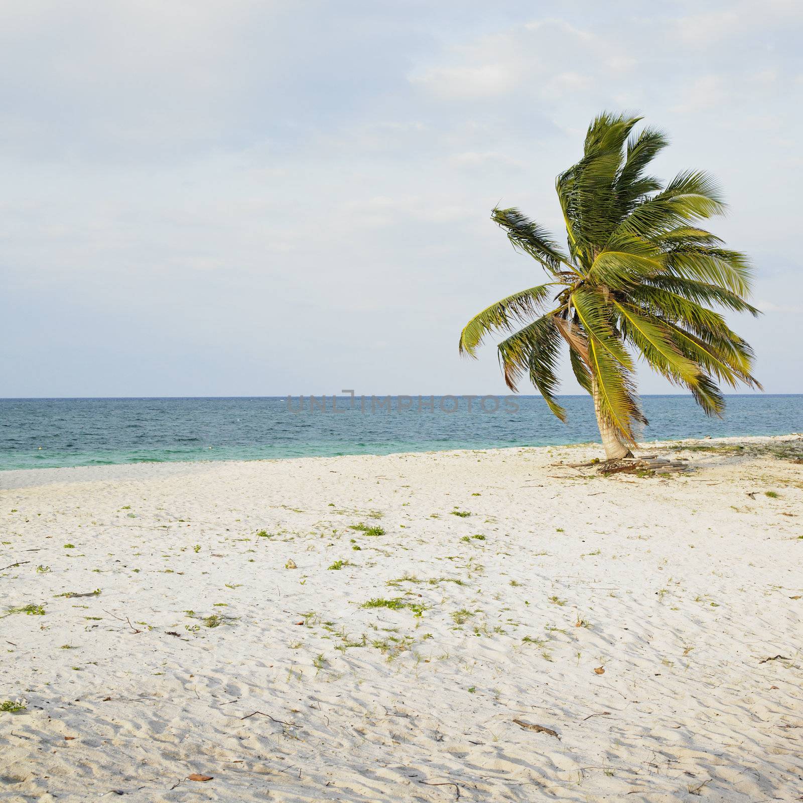 Cayo Sabinal, Camaguey Province, Cuba