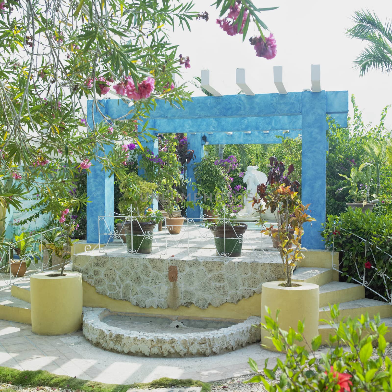 garden, Cayo Coco, Ciego de �vila Province, Cuba