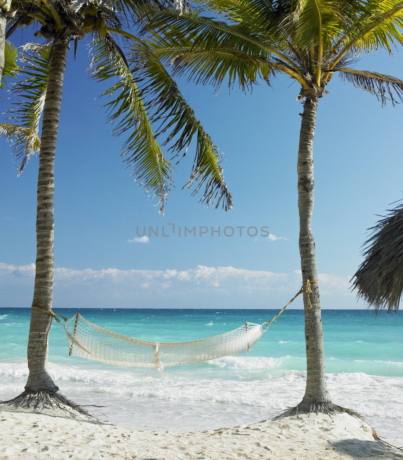 on the beach, Cayo Coco, Cuba by phbcz