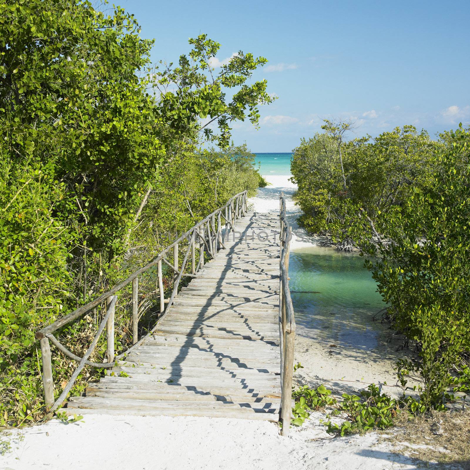 path towards Larga beach, Cayo Coco, Cuba