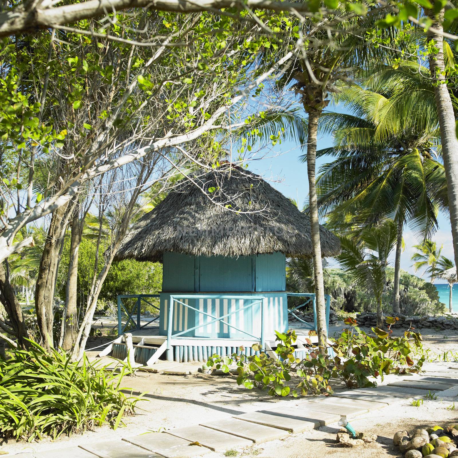 Cayo Coco, Cuba