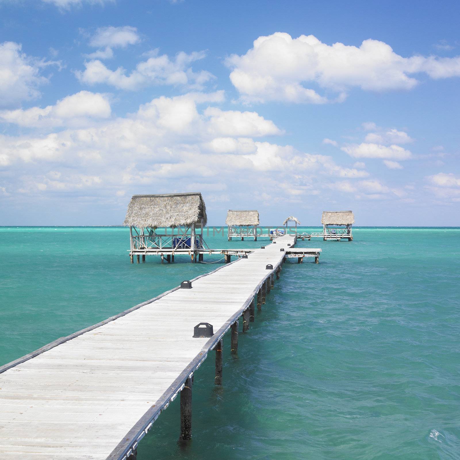 Cayo Guillermo, Ciego de �vila Province, Cuba