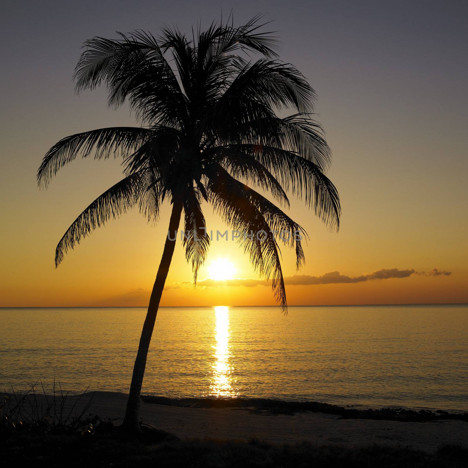 sunset over Caribbean Sea, Maria la Gorda, Pinar del Rio Province, Cuba