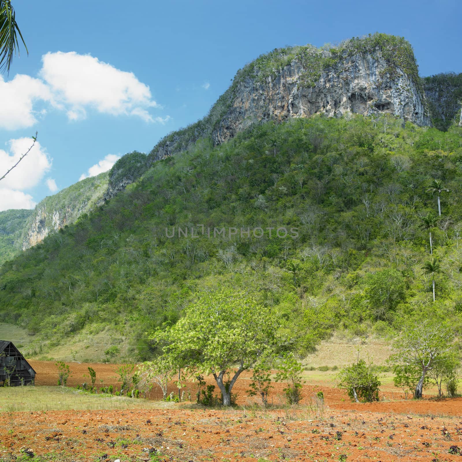 Vinales Valley, Pinar del Rio Province, Cuba