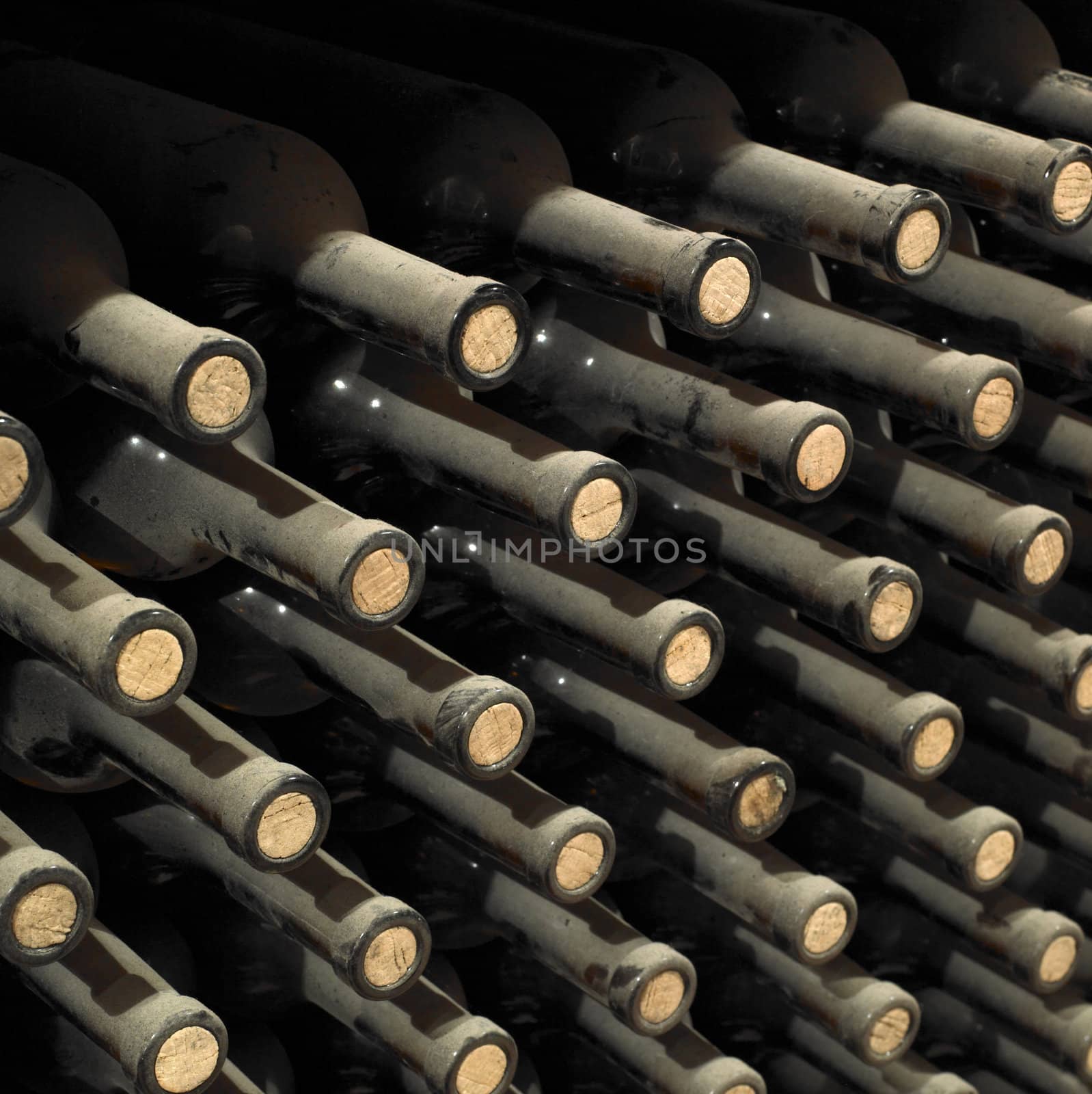 wine archive, wine cellar Sidleny, Livi Dubnany, Czech Republic by phbcz