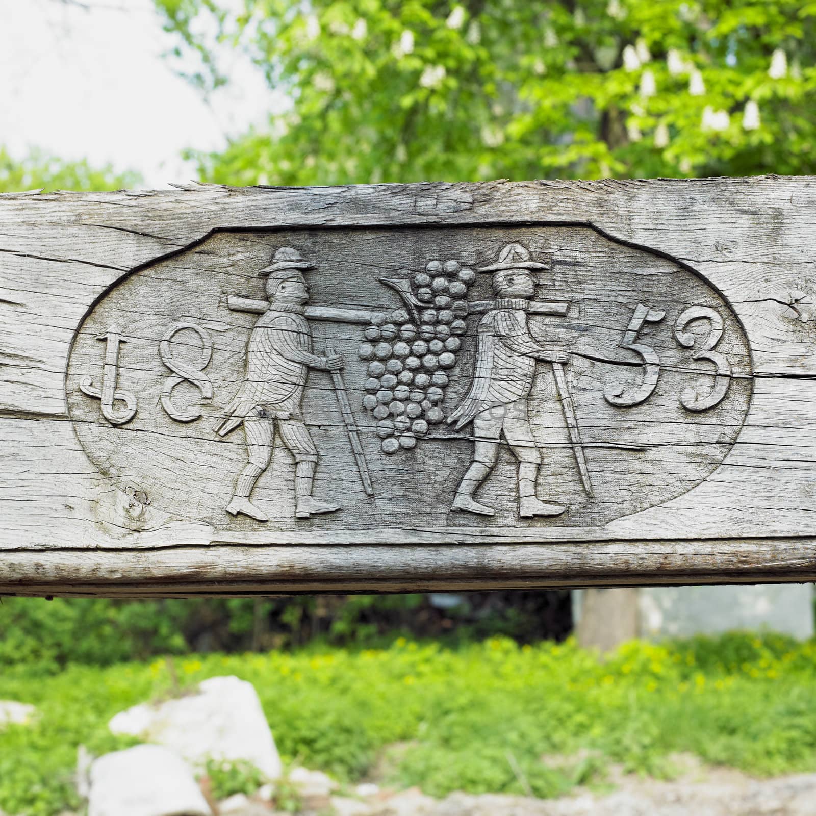 wine-press detail, Chvalovice, Czech Republic