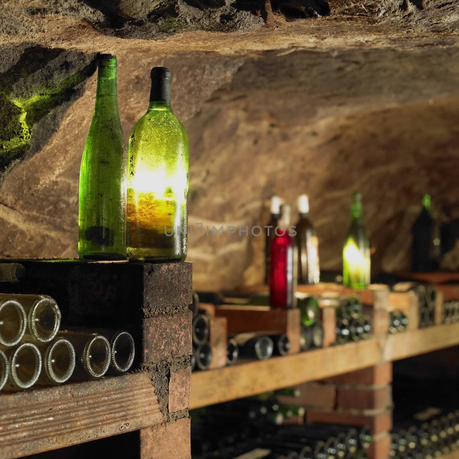 wine cellar, Bily sklep rodiny Adamkovy, Chvalovice, Czech Republic