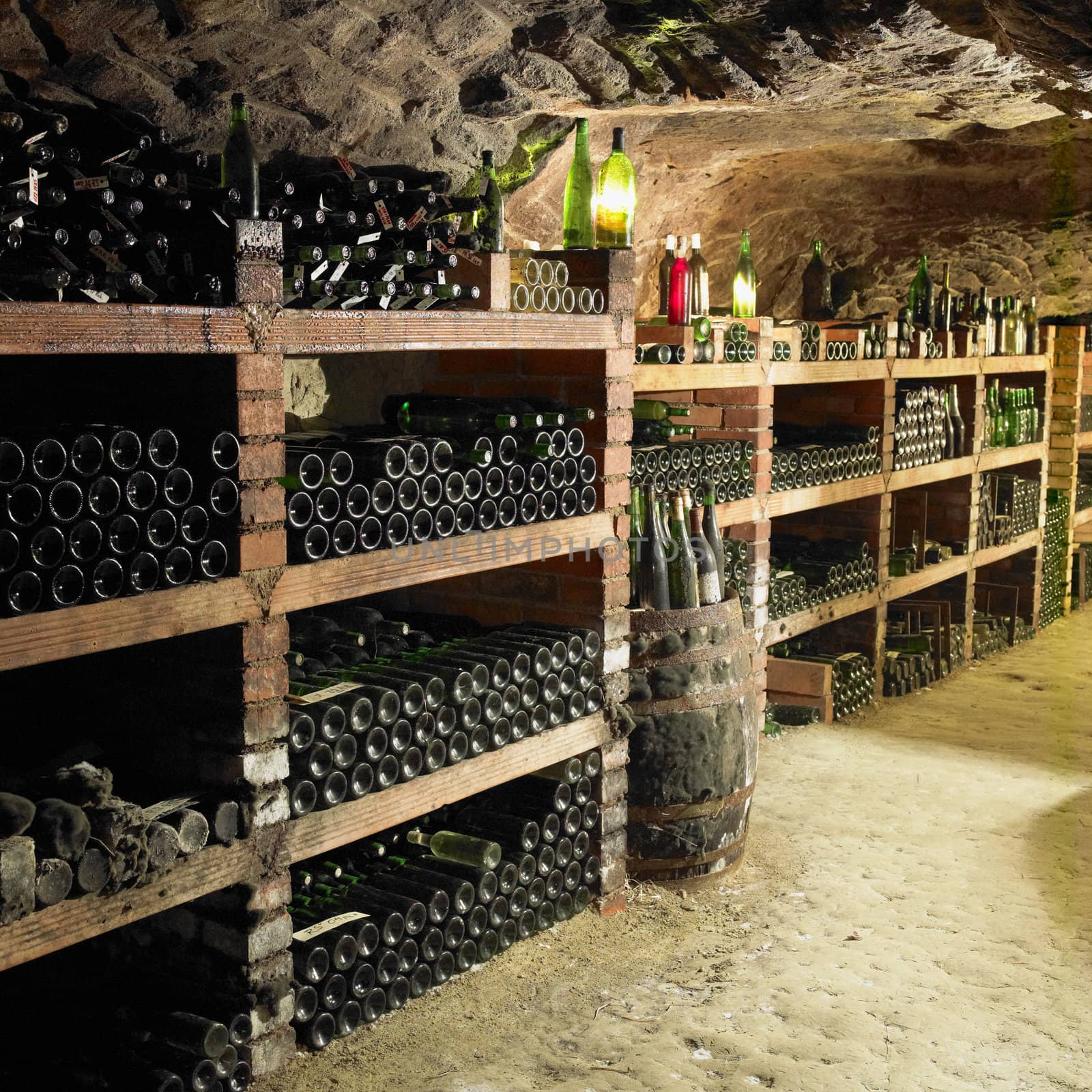 wine cellar, Bily sklep rodiny Adamkovy, Chvalovice, Czech Republic