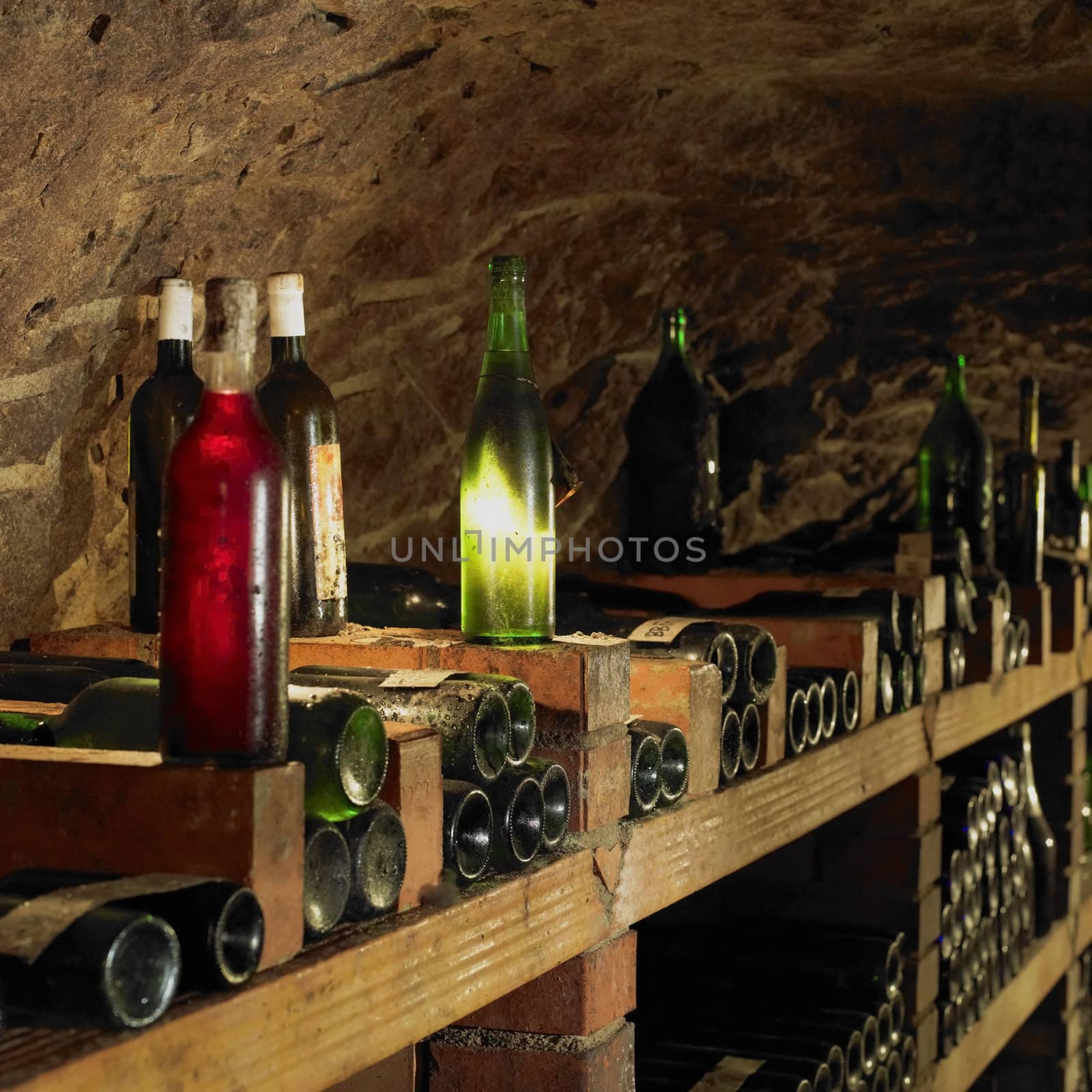 wine cellar, Bily sklep rodiny Adamkovy, Chvalovice, Czech Republic