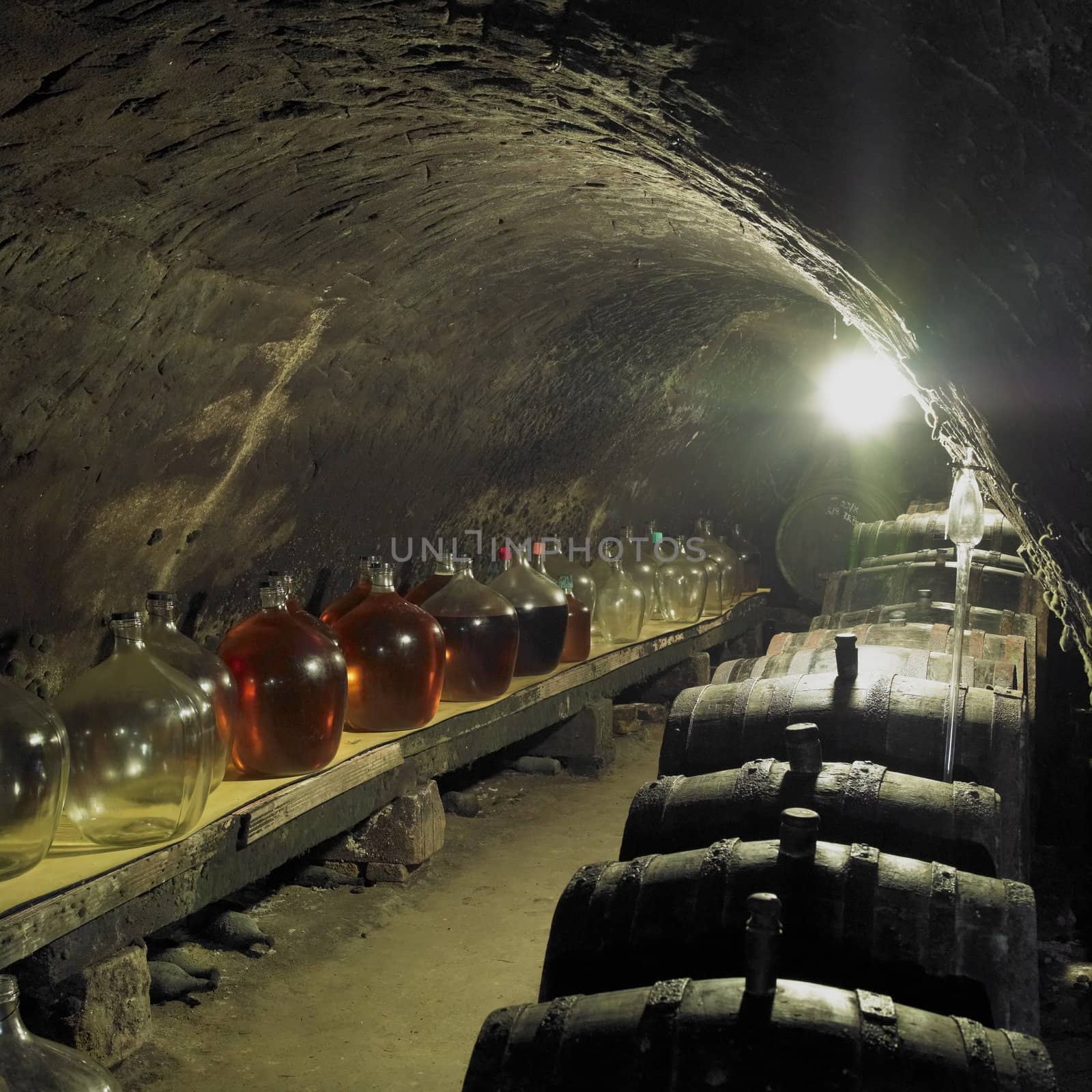 wine cellar, Bily sklep rodiny Adamkovy, Chvalovice, Czech Republic