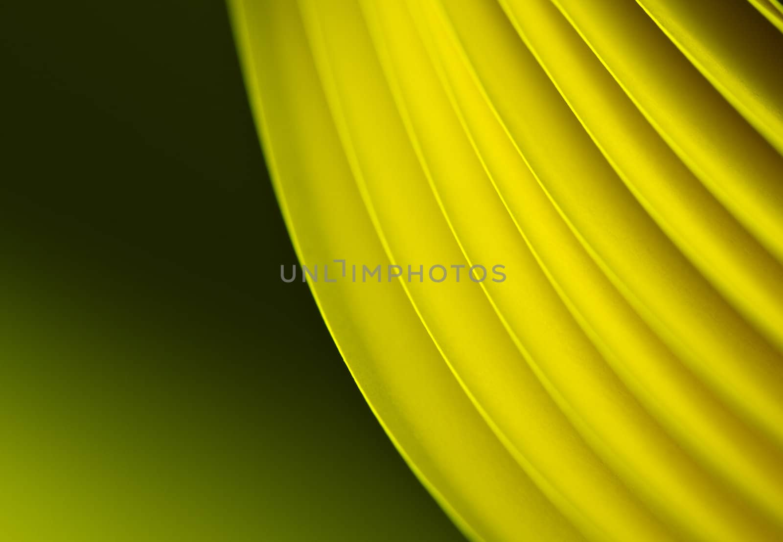 yellow A4 paper illuminated by LED lights showing greenish tint on the background