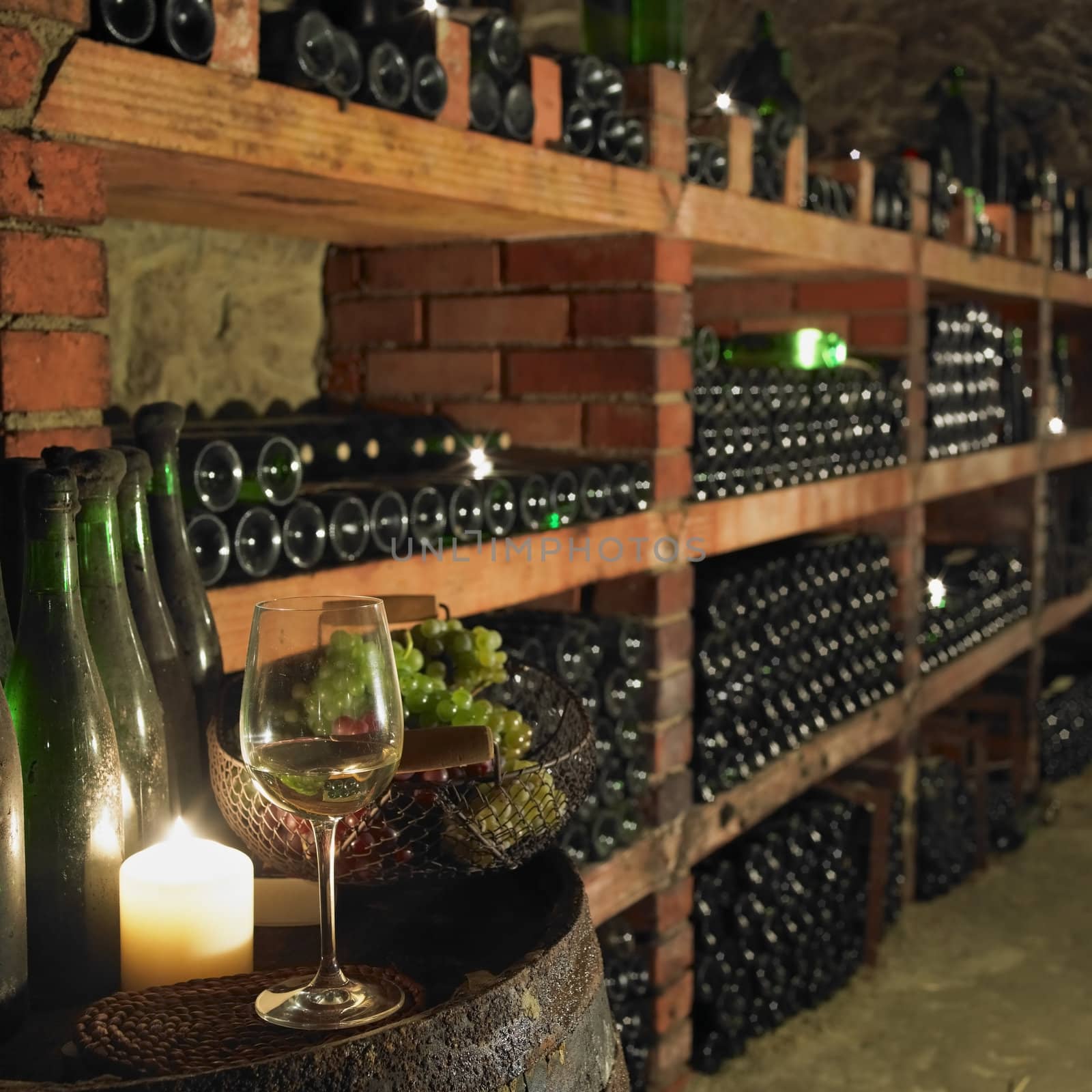 wine cellar, Bily sklep rodiny Adamkovy, Chvalovice, Czech Republic