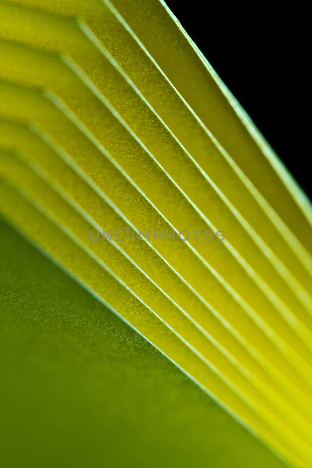 texture of the yellow A4 paper in portrait orientation with black background