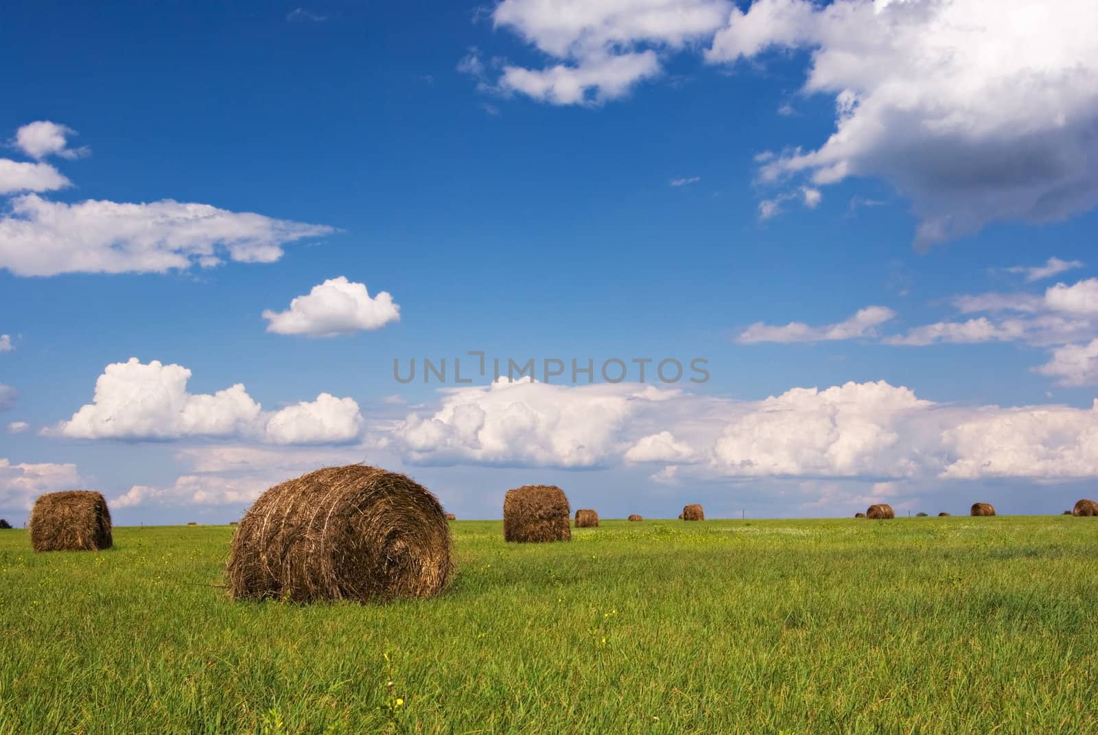 Straw bales on field under blue sky